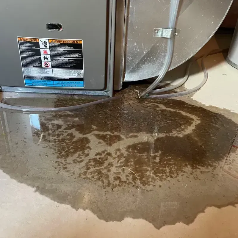 Appliance Leak Cleanup in Oakwood, OH